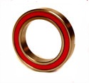 CH 6001 Enduro® ceramic bearing